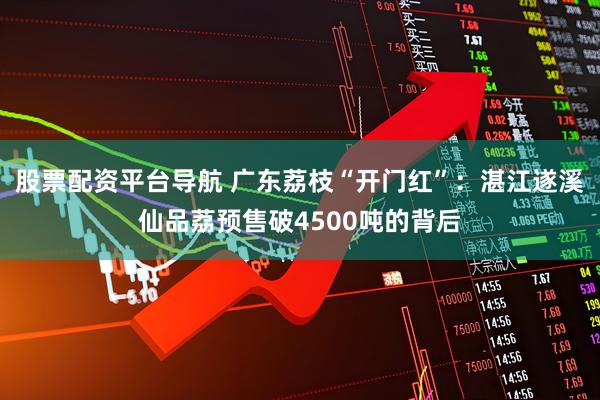 股票配资平台导航 广东荔枝“开门红”：湛江遂溪仙品荔预售破4500吨的背后