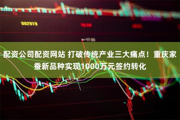 配资公司配资网站 打破传统产业三大痛点！重庆家蚕新品种实现1000万元签约转化