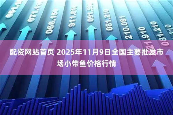 配资网站首页 2025年11月9日全国主要批发市场小带鱼价格行情