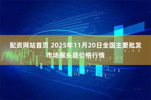 配资网站首页 2025年11月20日全国主要批发市场猴头菇价格行情